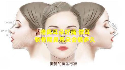 隆鼻耳朵好痛 做耳软骨隆鼻耳朵会痛多久